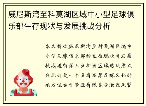 威尼斯湾至科莫湖区域中小型足球俱乐部生存现状与发展挑战分析
