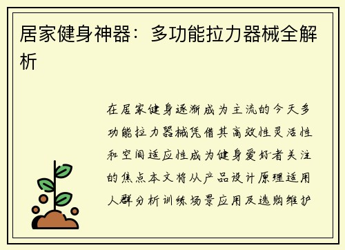 居家健身神器:多功能拉力器械全解析