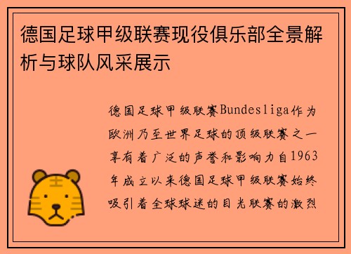 德国足球甲级联赛现役俱乐部全景解析与球队风采展示